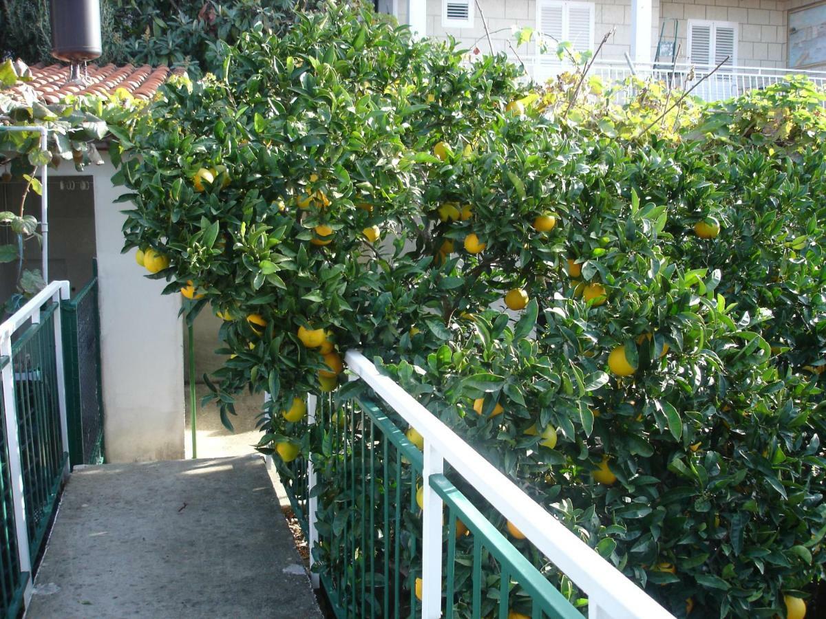 Apartments Zulic Cavtat Exterior photo