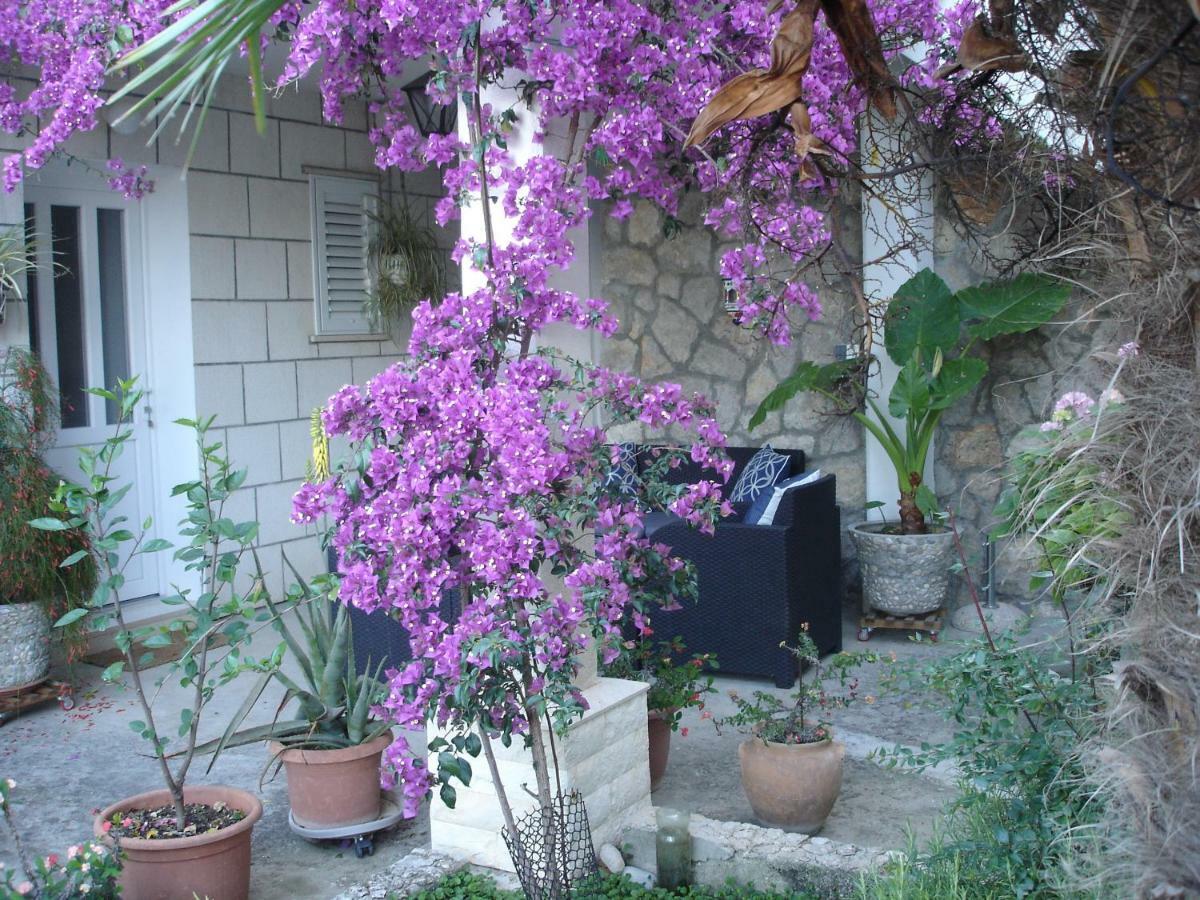 Apartments Zulic Cavtat Exterior photo